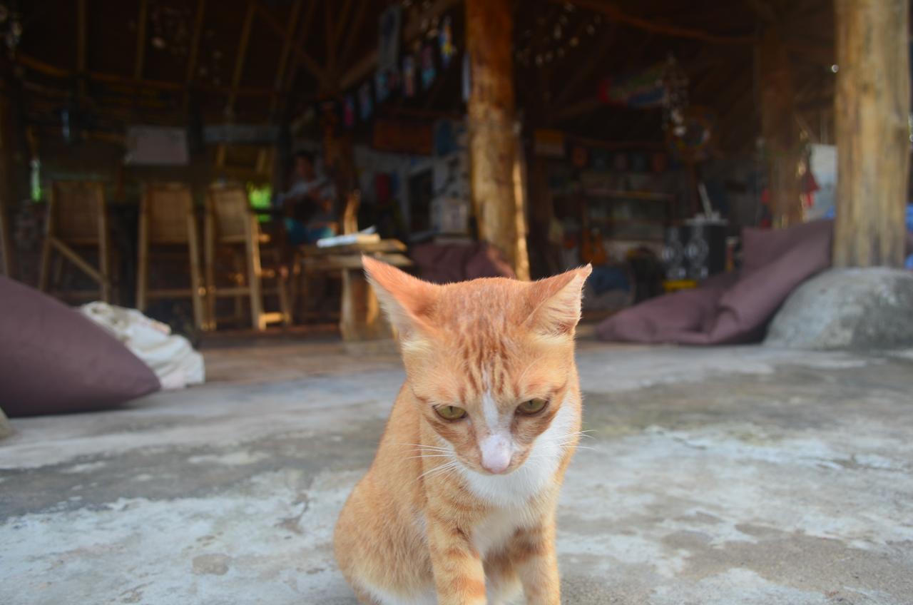 Gili Meno Eco Hostel Buitenkant foto